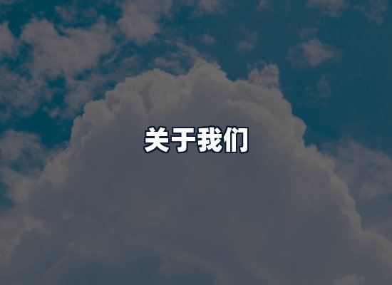 关于我们