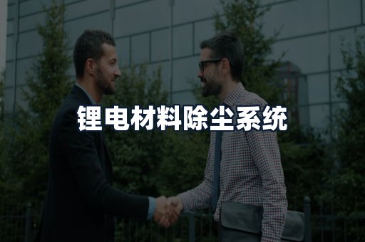锂电材料除尘系统